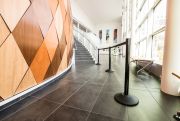 Steel Stanchion Post